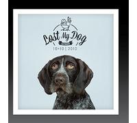 Various Artists - Lost My Dog 10x10-2010