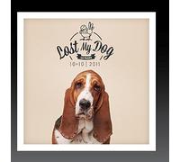Various Artists - Lost My Dog 10x10-2011