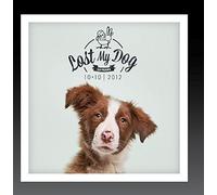 Various Artists - Lost My Dog 10x10-2012