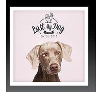 Various Artists - Lost My Dog 10x10-2013