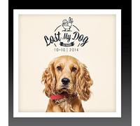 Various Artists - Lost My Dog 10x10-2014
