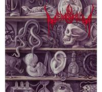 In Memorium – Lost to Antiquity – CD – Universal Music Group