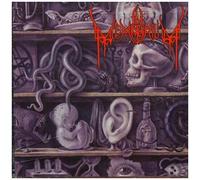 In Memorium – Lost to Antiquity – CD – Universal Music Group
