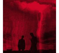 Lost Under Heaven - Love Hates What You Become [Vinyl]