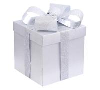 LOSVIP # Boîte cadeau d'anniversaire à paillettes moyennes avec couvercles ruban et boîte cadeau en papier mouchoir, 1 pièce 18 x 18 x 18 cm (argent, taille unique)