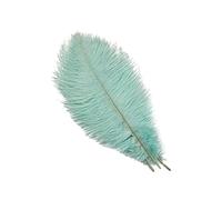 Lot 10 Plumes d'autruche naturel25 à 30 cm Plumes pour Loisirs créatifs pour Attrape-rêves Accessoire décoration la Maison,Costume,décoration Table Mariage,fête,Chapeaux Décoration Vert Menthe