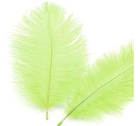 Lot 10 plumes d'autruche naturelles 15 à 20 cm Plumes pour loisirs créatifs Pour attrape-rêves Accessoire décoration la maison,costume,décoration table,mariage,fête,chapeaux Décoration décoration Vert