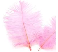 Lot 10 Plumes d'autruche Naturelles 15 à 20 cm Plumes pour Loisirs créatifs pour Attrape-rêves Accessoire décoration la Maison,Costume,décoration Table Mariage,fête,Chapeaux vêtements,décoration Rose
