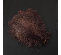 Lot 10 Plumes d'autruche Naturelles 25 à 30 cm Plumes pour Loisirs créatifs Accessoires d'attrape-rêves Décoration la Maison Costume Décoration Table Mariage Fête Chapeau Décoration café