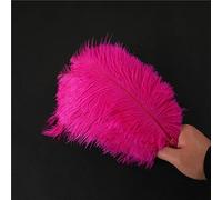 Lot 10 Plumes d'autruche Naturelles 25 à 30 cm Plumes pour Loisirs créatifs pour Attrape-rêves Accessoire décoration la Maison,Costume,décoration Table Mariage,fête,Chapeau,décoration vêtements,Rose