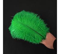 Lot 10 plumes d'autruche naturelles 25 à 30 cm Plumes pour loisirs créatifs Pour attrape-rêves Accessoire décoration la maison,costume,décoration table mariage,fête,chapeaux Décoration d'herbe verte