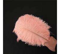 Lot 10 Plumes d'autruche Naturelles 25 à 30 cm Plumes pour Loisirs créatifs pour Attrape-rêves Accessoire décoration d'intérieur Costume Décoration Table Mariage,fête,Chapeaux Rose foncé