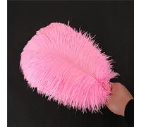 Lot 10 Plumes d'autruche Naturelles 30 à 35 cm Plumes pour Loisirs créatifs pour Attrape-rêves Accessoire décoration la Maison,Costume,décoration Table Mariage,fête,Chapeaux vêtements,décoration Rose