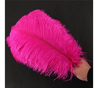 Lot 10 plumes d'autruche naturelles 40 à 45 cm Plumes pour loisirs créatifs Pour attrape-rêves Accessoire décoration la maison,costume,décoration table,mariage,fête,chapeau,décoration vêtements,rose
