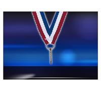 Lot de 12 Coupes trophées recompenses Entre 19 et 24 cm