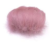 Lot 100 Plumes colorées pour travaux manuels,Plumes d'oie pour Bricolage,Masques,Chapeaux,boucd'oreilles,Accessoires Cheveux,Attrape-rêves,Mariage,Carnaval,fête,décoration 5 à 8 cm Rose Vieilli