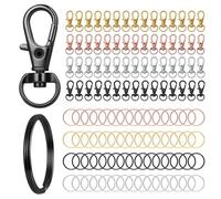 Lot 120 Pièces Kit Porte-clés, 60 Mousquetons 360° et 60 Anneaux, Crochets Alliage Zinc DIY Bijoux Réparation (Multicolore) (ro, plata, negro, rosa dorado)
