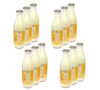 Lot 12x Boisson pour pina colada - bouteille 1L