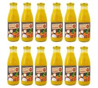 Lot 12x Soupe thaïlandaise - Bouteille 730ml