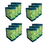 Lot 12x Thé vert des Oasis - 20 sachets - Boîte 40g