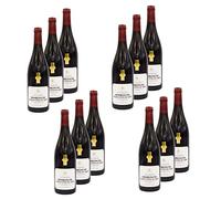 Lot 12x Vin rouge Bourgogne Hautes Côtes de Nuits AOP - Bouteille 750ml
