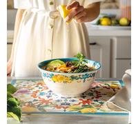 Lot 2 saladiers en mélamine à motifs