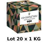 Lot 20 x 1kg Charbon Coco Naturel - Chicha Narguilé / BBQ - Combustion 90min