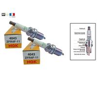 Lot 2x Bougie NGK 4043 ZFR4F-11 pour SEA DOO GTX RX LRV XP 3D Sporster 2000-2007