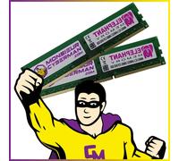 Lot 2x8 Go (16 Go) RAM DDR3 Elephant Memory PC3-10600U DIMM 1333Mhz 1.5v PC Neuf