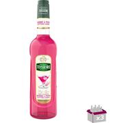 Lot 3 - Teisseire - Sirop Daddy Bart - 70cl