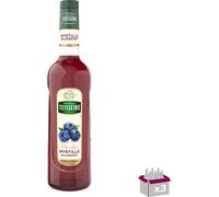 Lot 3 - Teisseire - Sirop d'alcool - 70cl
