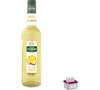 Lot 3 - Teisseire - Sirop d'ananas - 70cl