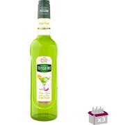 Lot 3 - Teisseire - Sirop de cactus - 70cl