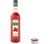 Lot 3 - Teisseire - Sirop de canneberge - 70cl