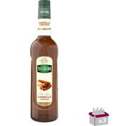 Lot 3 - Teisseire - Sirop de cannelle - 70cl