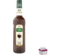 Lot 3 - Teisseire - Sirop de crème irlandaise - 70cl