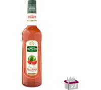 Lot 3 - Teisseire - Sirop de pastèque - 70cl