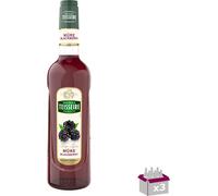 Lot 3 - Teisseire - Sirop de pneu - 70cl