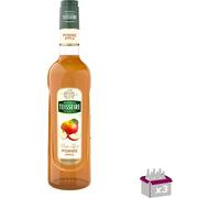 Lot 3 - Teisseire - Sirop de pomme - 70cl