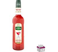 Lot 3 - Teisseire - Sirop de pomme d'amour - 70cl