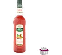 Lot 3 - Teisseire - Sirop de rhubarbe - 70cl
