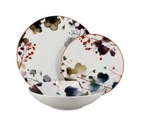 Lot 36 assiettes aquarelle en porcelaine