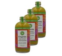 Lot 3x Gingerjoy - concentré de gingembre BIO - Bouteille 480ml