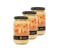 Lot 3x Miel de Printemps - Monts du Lyonnais - Rhône Alpes - Le Rucher de Macameli - pot 500g