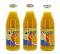 Lot 3x Nectar de mangue - Bouteille 1L