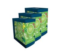 Lot 3x Thé vert des Oasis - 20 sachets - Boîte 40g