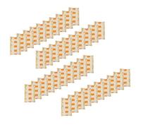 Lot 40x Graines de courge grillées salées - Agidra - paquet 500g