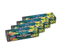 Lot 4x Salade de fruits - 3 x 227g - Pack 681g