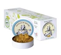 Lot 5 boites | Pastilles Saint-Ange Menthe | Bonbons Traditionnels 100% Français