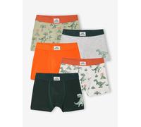 Lot 5 boxers dino encre 5A